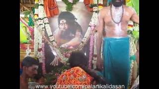 Sakkadai siddhar jeeva samadhi  sakkadai siddharsakkadai siddhar mandala poojai Video [upl. by Wilek347]