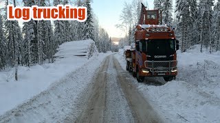 Log Trucking  Beautiful sunny winter day at Leringen [upl. by Irahcaz46]