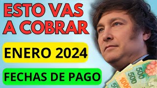 🛑 AHORA❗️BONOS y Fecha de Cobro ENERO 2024 para Jubilados Pensionados PNC PUAM AUH y SUAF ANSES [upl. by Hillari]