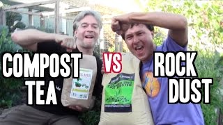 Compost Tea vs Rock Dust  Which is the Better Organic Fertilizer [upl. by Asert]