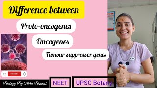 Difference between Protooncogenes Oncogenes and Tumour suppressor genes ll biology upsc neet [upl. by Ahsekyw841]