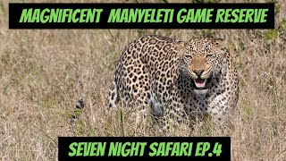 Magnificent Manyeleti Game Reserve  7 Night Safari Ep4 [upl. by Eizzik863]