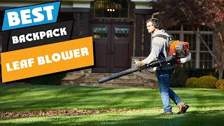 Top 10 Best Backpack Leaf Blower 2024 [upl. by Nikolos]