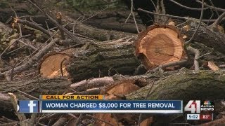 Tree trimming company charges woman 8000 for two trees [upl. by Yeldar]