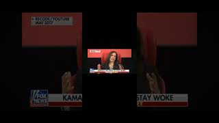 COMMUNISTS for Kamala assassinationexplaNATION [upl. by Anaitsirk]