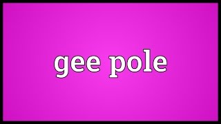 Gee pole Meaning [upl. by Acinad]