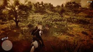 where to find the rio grande turkey rdr2 story mode [upl. by Auhsej]