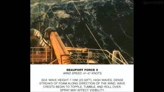 Beaufort Scale Explained Ocean Edition YouTube [upl. by Ashly584]