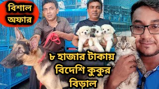 Katabon animal market in bangladeshGerman Shepherd Lhasa Apso Persian Cat Dog and cat price 2023 [upl. by Ennej]