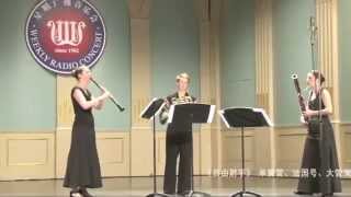 CM von Weber Der Freischütz for clarinet horn and bassoon [upl. by Scotney]