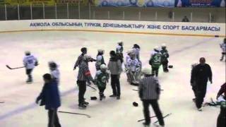 Best kids under 10 mass hockey fight [upl. by Alcinia188]