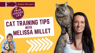 Cat Training Pointers from a Pro [upl. by Heppman]