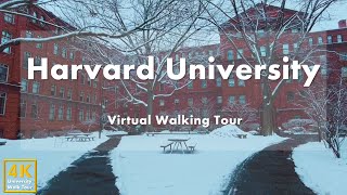 Harvard University  Virtual Walking Tour 4k 60fps [upl. by Burk]