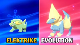 Electrike Evolution In Pokemon Sword amp Shield  Galar Pokedex [upl. by Tomkins]