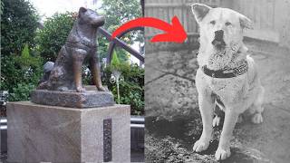 The Story Of Hachikō The Japanese Dog Who Waited For His Owner For Ten Years [upl. by Liek]