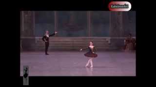 Don Quijote PD Tamara Rojo Steven McRae [upl. by Anirehc]