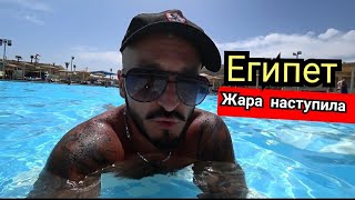 Египет 🇪🇬 ВЫВОДЫ Pickalbatros Royal Moderna Resort  Sharm El Sheikh 5 Первая береговая Набк [upl. by Neelyak]