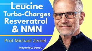 Leucine Amplifies The Effects Of Resveratrol amp NMN  Prof Michael Zemel Ep 1 [upl. by June850]