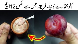 Fresh Plum Juice Recipe  How To Make Plum Juice  Plum Shake Recipe [upl. by Areis]