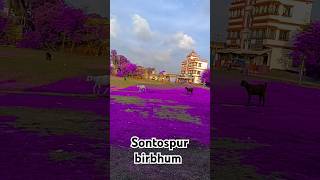 sontospur birbhum song music video reels roblox [upl. by Allenad]