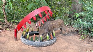 Build Wild boar Trap Using Red Pruning Saw amp Sharp wood That Work 100 wildanimals [upl. by Nylqcaj]