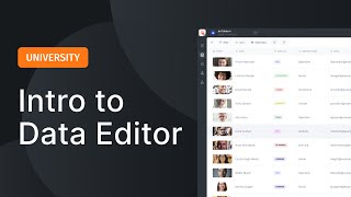 Data Editor  Introduction and overview [upl. by Haelem]