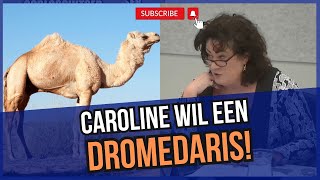 Caroline vd Plas PREEKT Waarom staat de Dromedaris niet op de positief lijst [upl. by Cave451]