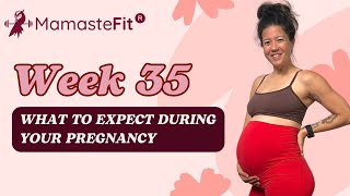 Week 35 What to Expect During Your Pregnancy  Ginas Pregnancy Journey [upl. by Aizirk]