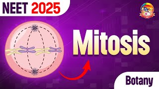 Mitosis  Most Important Questions of Mitosis  NEET Botany  srichaitanyagosala [upl. by Anev]