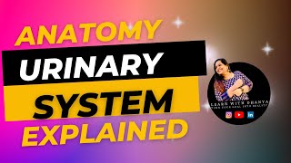 URINARY SYSTEMANATOMYPHYSIOLOGYMEDICALCODINGLEARNWITHDHANYA [upl. by Novia]