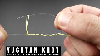 YUCATAN KNOT Braid to Mono or Fluorocarbon  how to tie a ultimate strength for fishing [upl. by Lorry249]