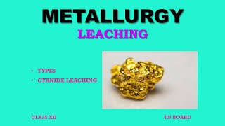 Metallurgy Class 12 Part 6  Leaching Types and Cyanide leaching  TN Board [upl. by Bandur]