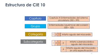 Utilización de la CIE10 Volumen 1 Lista tabular [upl. by Rodrick918]