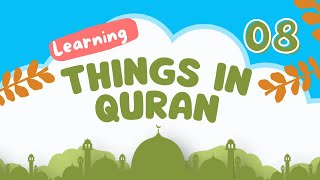 Kids Learning Series Episode 8  Learn Things In Quran [upl. by Gollin914]