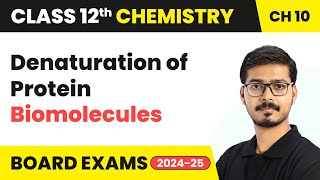 Denaturation of Protein  Biomolecules  Class 12 Chemistry Chapter 10  CBSE 202425 [upl. by Eidnar]