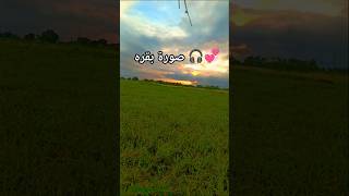 Incredible Quran recitation surah baqarah💞 shorts quran viralvideo [upl. by Dagny]