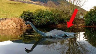 CRAZIEST Loch Ness Lookalike Cryptids [upl. by Ecinev913]