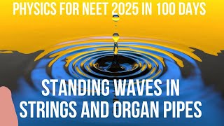 WAVES CLASS 11  NEET STANDING WAVES IN STRINGS AND ORGAN PIPES NamelessandfacelessPhysicist [upl. by Atiekal]