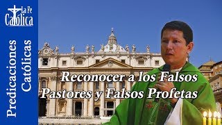 FALSOS PASTORES y FALSOS PROFETAS  Padre Luis Toro  Apologética Católica [upl. by Dorehs]