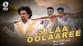 Mogoro Jifar Oromo Music SILAA OOLAAREE [upl. by Ahsekad]