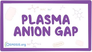 Plasma anion gap [upl. by Nolahc9]