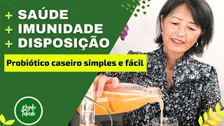 Probióticos para INICIANTES  Receita caseira SIMPLES e FÁCIL  Rejuvelac [upl. by Liberati836]