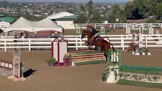 116 2024 Melissa Acker  Herradura  Winning ASPCA Maclay Medal [upl. by Girish70]