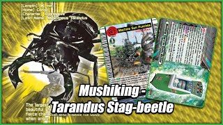 BEETLES ARE THE ULTIMATE LIFEFORM  Tarandus Stagbeetle Machine Gun Punches  DECK PROFILE  CFVO [upl. by Unni798]