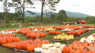 Layman Family Farms Fall Festival kicks off this weekend [upl. by Riki]