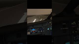 A320 lands in Hurricane Milton wind gusting to 60 kts msfs2020 hurricane milton [upl. by Yelbmik]