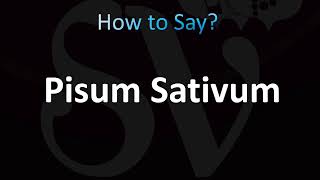 How to Pronounce Pisum Sativum Correctly [upl. by Ykroc]