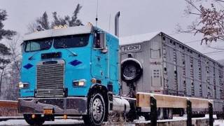 Bull Haulers on that lost hwy [upl. by Rett]