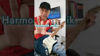 Harmonic 12 gitar harmonik gitarlistrik [upl. by Heyde]