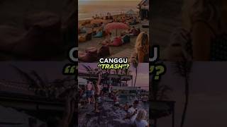 is Canggu quotTRASHquot😡😱 shorts bali canggu [upl. by Selmore]